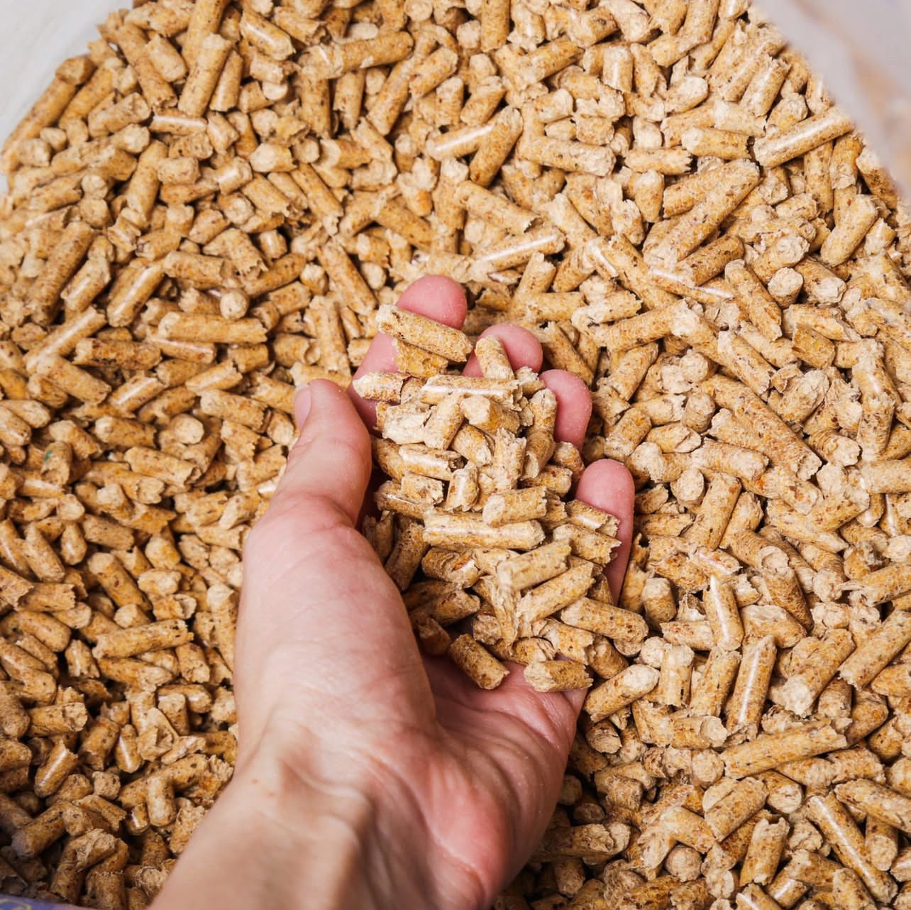 Wood Pellet